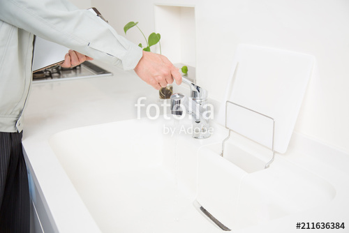 project-image