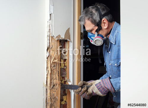 project-image