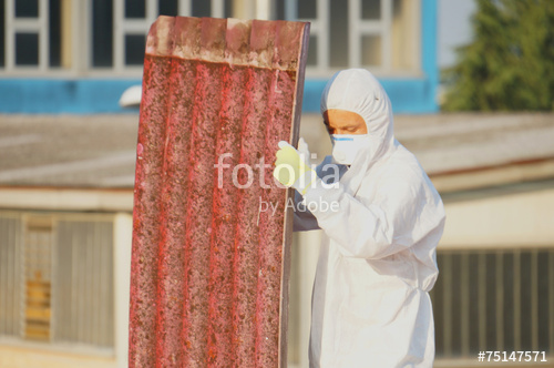 project-image